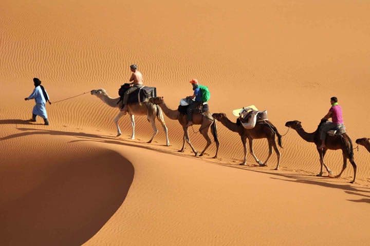 تصویر مقاله راهنمای جامع کویرنوردی در ایران ویژه مبتدیان