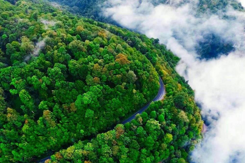 راهنمای کامل سفر به شمال ایران؛ از بهترین جادهها تا جاهای دیدنی، غذا و سوغات